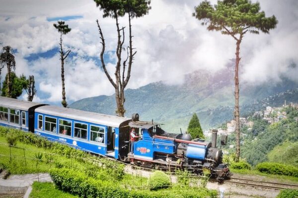 Eastern Himalayan 3 Jewels