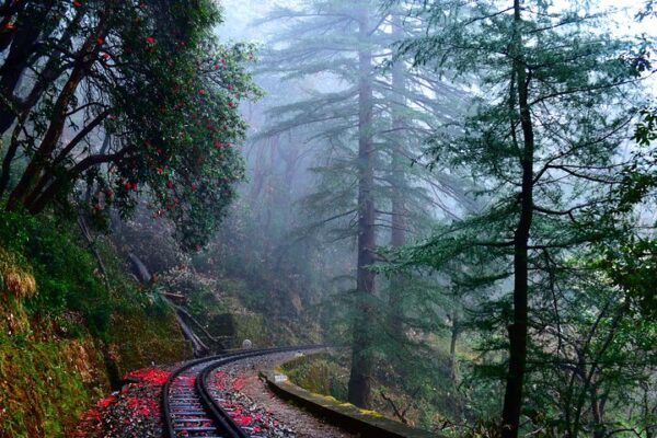 Magic Of Himachal